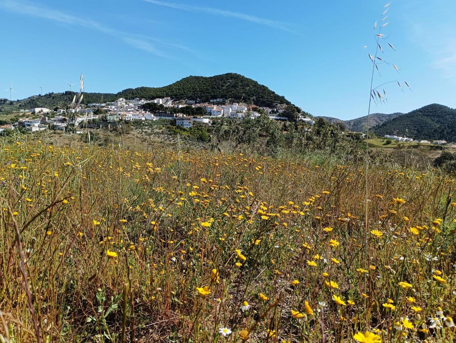 Carratraca Complejo Rural Los Alcornoquillos מראה חיצוני תמונה